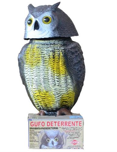 Gufo deterrente - disabituante naturale